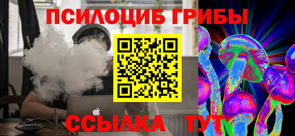 закладки  Галлюциногенные грибы MAGIC MUSHROOMS  Вход с VPN  Саранск  Галлюциногенные грибы мухоморы 