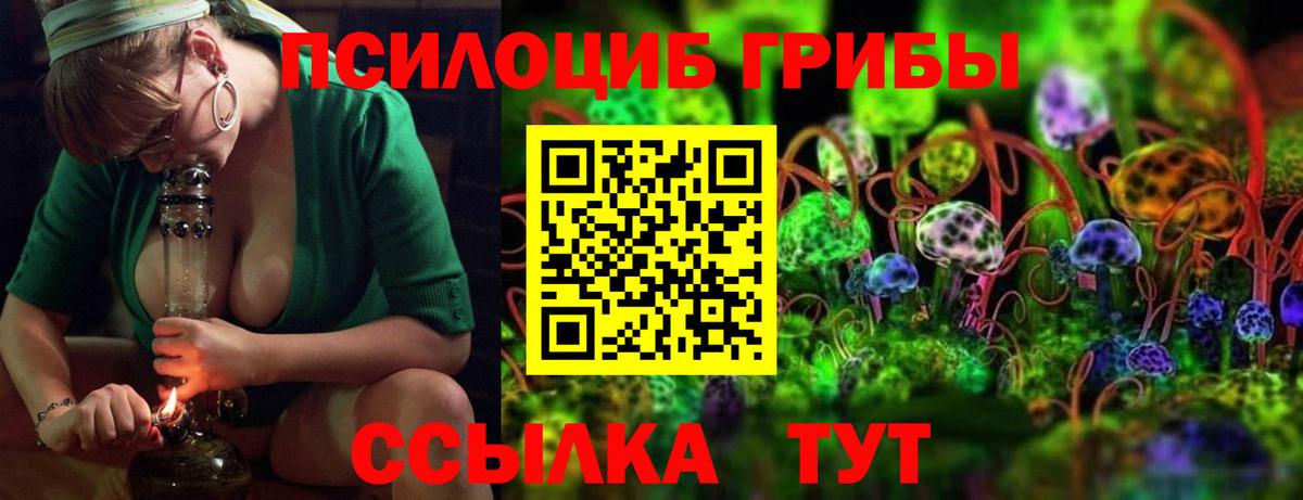 Галлюциногенные грибы мицелий Саранск
